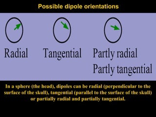 Possible dipole orientations

In a sphere (the head), dipoles can be radial (perpendicular to the
surface of the skull), tangential (parallel to the surface of the skull)
or partially radial and partially tangential.

 