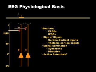 EEG Generators | PPT | Brain and Nervous System Disorders | Diseases ...