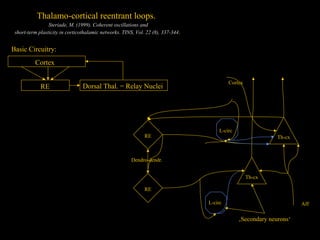 Thalamo-cortical reentrant loops.
Steriade, M. (1999). Coherent oscillations and
short-term plasticity in corticothalamic networks. TINS, Vol. 22 (8), 337-344.

Basic Circuitry:
Cortex
RE

Cortex

Dorsal Thal. = Relay Nuclei

RE

L-circ
Th-cx

Dendro-dendr.
Th-cx
RE
L-circ

Aff

‚Secondary neurons‘

 