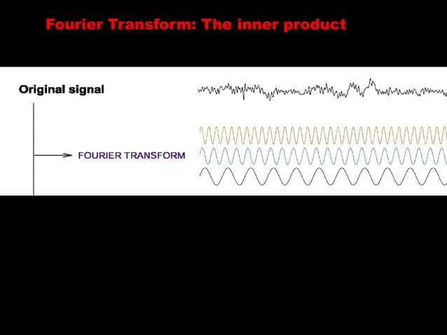 EEG Generators | PPT | Brain and Nervous System Disorders | Diseases ...