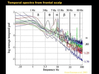 Temporal spectra from frontal scalp

From Freeman et al. 2003

 