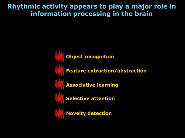 EEG Generators | PPT | Brain and Nervous System Disorders | Diseases ...