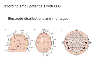 Recording small potentials with EEG
Electrode distributions and montages
 