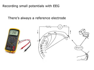 Recording small potentials with EEG
There’s always a reference electrode
 