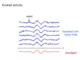 Evoked activity
repeated over
many trials
averaged
 