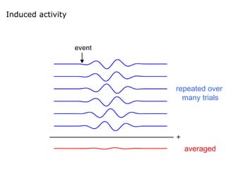 Induced activity
repeated over
many trials
averaged
 