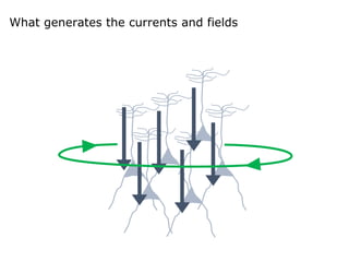 What generates the currents and fields
 