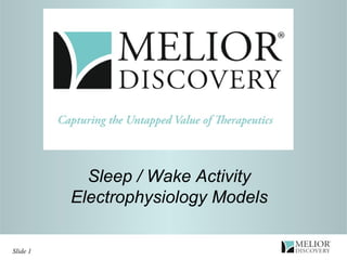 Sleep / Wake Activity Electrophysiology Models 