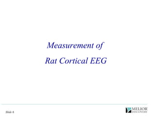 Measurement of  Rat Cortical EEG 