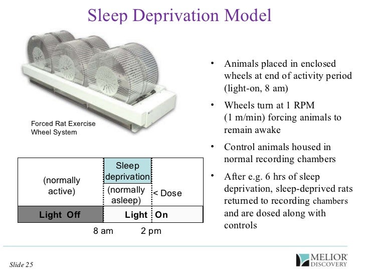 sleep deprived eeg sleep deprived eeg