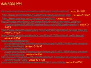 BIBLIOGRAFIA
http://www.funai.gov.br/arquivos/conteudo/ascom/2013/img/12-Dez/pdf-brasil-ind.pdf - acesso 05-5-2015
http://www.sociambiental.org/pib/epi/kayapo/populacao.shtm - acesso 17-4-2007
http://www.geocities.com/pinkaiti/pinkaiti/html - acesso 17-4-2007
http://images.google.com.br/imgres?imgurl=http://ntsavanna.com/wp-
content/uploads/2009/04/calathea-lutea-may-2008.jpg&imgrefurl= acesso 13-
4-2010
http://www.elarishtropicalexotics.com/Plant/107/Thumbnail_havana-cigar.jpg
acesso 13-4-2010
http://www.elarishtropicalexotics.com/Plant/110/Thumbnail_gold-cigar.jpg
acesso 13-4-2010
http://static.blogstorage.hi-
pi.com/photos/flores.fotosblogue.com/images/gd/1220052126/Eichornia-crassipes-
jacinto-aquatico.jpg acesso 13-4-2010
http://static.blogstorage.hi-
pi.com/photos/flores.fotosblogue.com/images/gd/1220052245/Eichornia-crassipes-
jacinto-aquatico.jpg acesso 13-4-2010
http://www.avespantanal.com.br/imagens/060%20-%20Mutum-de-penacho/mutum-de-
penacho-40181-72.jpg acesso 13-4-2010
http://www.baixaki.com.br/imagens/wpapers/BXK34133_jacu-01800.jpg acesso 13-4-2010
 