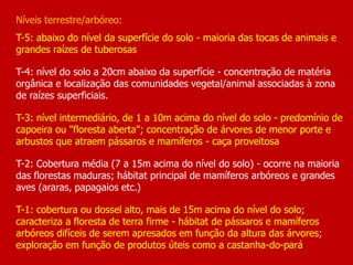 Níveis terrestre/arbóreo:
T-5: abaixo do nível da superfície do solo - maioria das tocas de animais e
grandes raízes de tuberosas
T-4: nível do solo a 20cm abaixo da superfície - concentração de matéria
orgânica e localização das comunidades vegetal/animal associadas à zona
de raízes superficiais.
T-3: nível intermediário, de 1 a 10m acima do nível do solo - predomínio de
capoeira ou "floresta aberta"; concentração de árvores de menor porte e
arbustos que atraem pássaros e mamíferos - caça proveitosa
T-2: Cobertura média (7 a 15m acima do nível do solo) - ocorre na maioria
das florestas maduras; hábitat principal de mamíferos arbóreos e grandes
aves (araras, papagaios etc.)
T-1: cobertura ou dossel alto, mais de 15m acima do nível do solo;
caracteriza a floresta de terra firme - hábitat de pássaros e mamíferos
arbóreos difíceis de serem apresados em função da altura das árvores;
exploração em função de produtos úteis como a castanha-do-pará
 