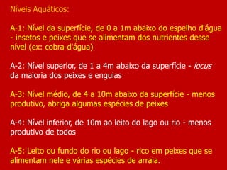 Níveis Aquáticos:
A-1: Nível da superfície, de 0 a 1m abaixo do espelho d'água
- insetos e peixes que se alimentam dos nutrientes desse
nível (ex: cobra-d'água)
A-2: Nível superior, de 1 a 4m abaixo da superfície - locus
da maioria dos peixes e enguias
A-3: Nível médio, de 4 a 10m abaixo da superfície - menos
produtivo, abriga algumas espécies de peixes
A-4: Nível inferior, de 10m ao leito do lago ou rio - menos
produtivo de todos
A-5: Leito ou fundo do rio ou lago - rico em peixes que se
alimentam nele e várias espécies de arraia.
 