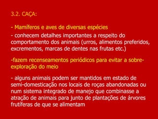 3.2. CAÇA:
- Mamíferos e aves de diversas espécies
- conhecem detalhes importantes a respeito do
comportamento dos animais (urros, alimentos preferidos,
excrementos, marcas de dentes nas frutas etc.)
-fazem recenseamentos periódicos para evitar a sobre-
exploração do meio
- alguns animais podem ser mantidos em estado de
semi-domesticação nos locais de roças abandonadas ou
num sistema integrado de manejo que combinasse a
atração de animais para junto de plantações de árvores
frutíferas de que se alimentam
 