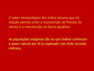 O saber etnoecológico dos índios assume que há
relação estreita entre a manutenção de floresta de
várzea e a manutenção da fauna aquática.
As populações indígenas são as que melhor conhecem
a pesca natural por tê-la explorado com êxito durante
milênios.
 