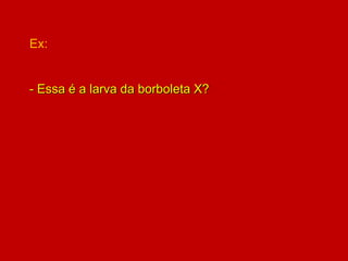 Ex:
- Essa é a larva da borboleta X?
 