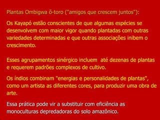 Plantas Ombigwa õ-toro ("amigos que crescem juntos"):
Os Kayapó estão conscientes de que algumas espécies se
desenvolvem com maior vigor quando plantadas com outras
variedades determinadas e que outras associações inibem o
crescimento.
Esses agrupamentos sinérgico incluem até dezenas de plantas
e requerem padrões complexos de cultivo.
Os índios combinam "energias e personalidades de plantas",
como um artista as diferentes cores, para produzir uma obra de
arte.
Essa prática pode vir a substituir com eficiência as
monoculturas depredadoras do solo amazônico.
 