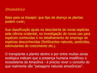 Etnobotânica
Base para os Kayapó: que tipo de doença as plantas
podem curar;
Sua classificação ajuda na descoberta de novas espécies
pela ciência ocidental, na investigação de novos uso para
espécies conhecidas e no detalhamento do emprego de
espécies desconhecidas (fertilizantes naturais, pesticidas,
estimulantes de crescimento etc.).
O transplante e plantio dentro e por entre muitas zonas
ecológica indicam que a presença humana modificou o
ecossistema da Amazônia - é preciso rever o conceito do
que realmente são "paisagens naturais amazônicas".
 