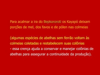 Para acalmar a ira do Bepkororoti os Kayapó deixam
porções de mel, dos favos e de pólen nas colmeias
(algumas espécies de abelhas sem ferrão voltam às
colmeias coletadas e restabelecem suas colônias
- essa crença ajuda a conservar e manejar colônias de
abelhas para assegurar a continuidade da produção).
 
