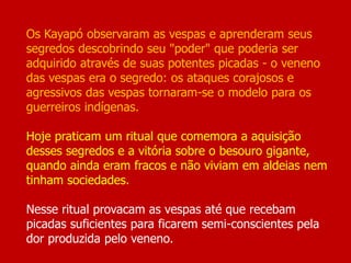 Os Kayapó observaram as vespas e aprenderam seus
segredos descobrindo seu "poder" que poderia ser
adquirido através de suas potentes picadas - o veneno
das vespas era o segredo: os ataques corajosos e
agressivos das vespas tornaram-se o modelo para os
guerreiros indígenas.
Hoje praticam um ritual que comemora a aquisição
desses segredos e a vitória sobre o besouro gigante,
quando ainda eram fracos e não viviam em aldeias nem
tinham sociedades.
Nesse ritual provacam as vespas até que recebam
picadas suficientes para ficarem semi-conscientes pela
dor produzida pelo veneno.
 