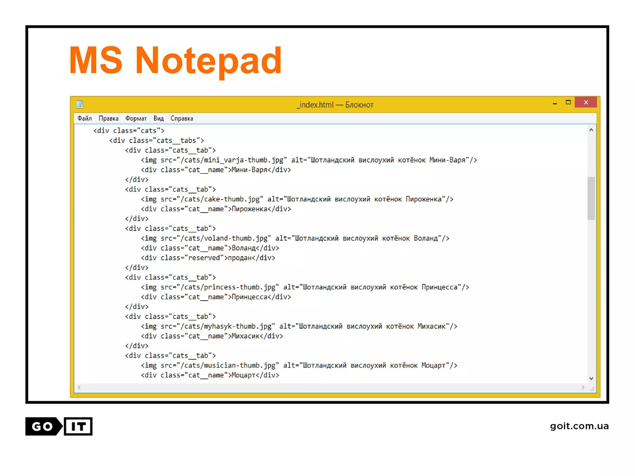 MS Notepad
 