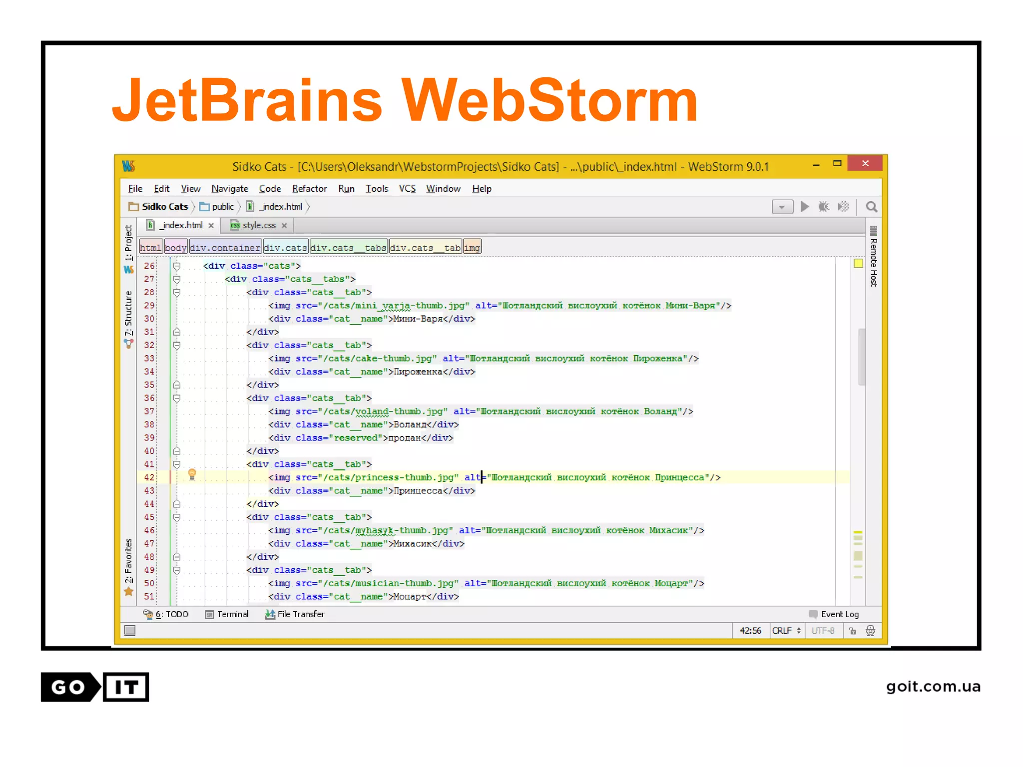 JetBrains WebStorm
 