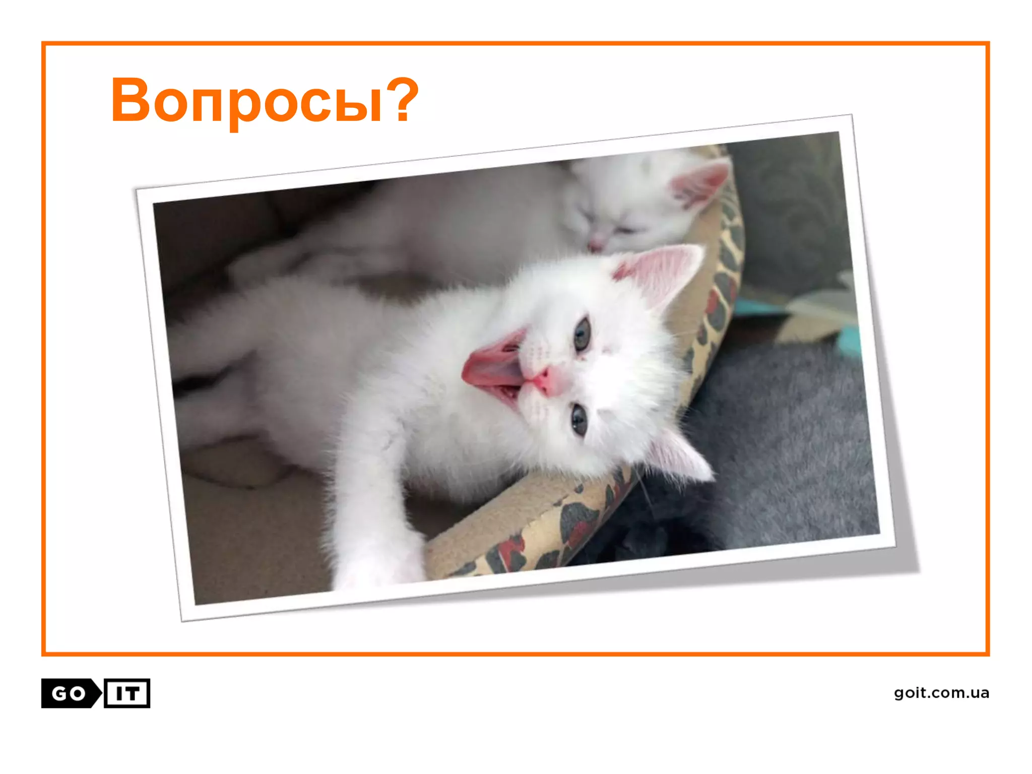 Вопросы?
 