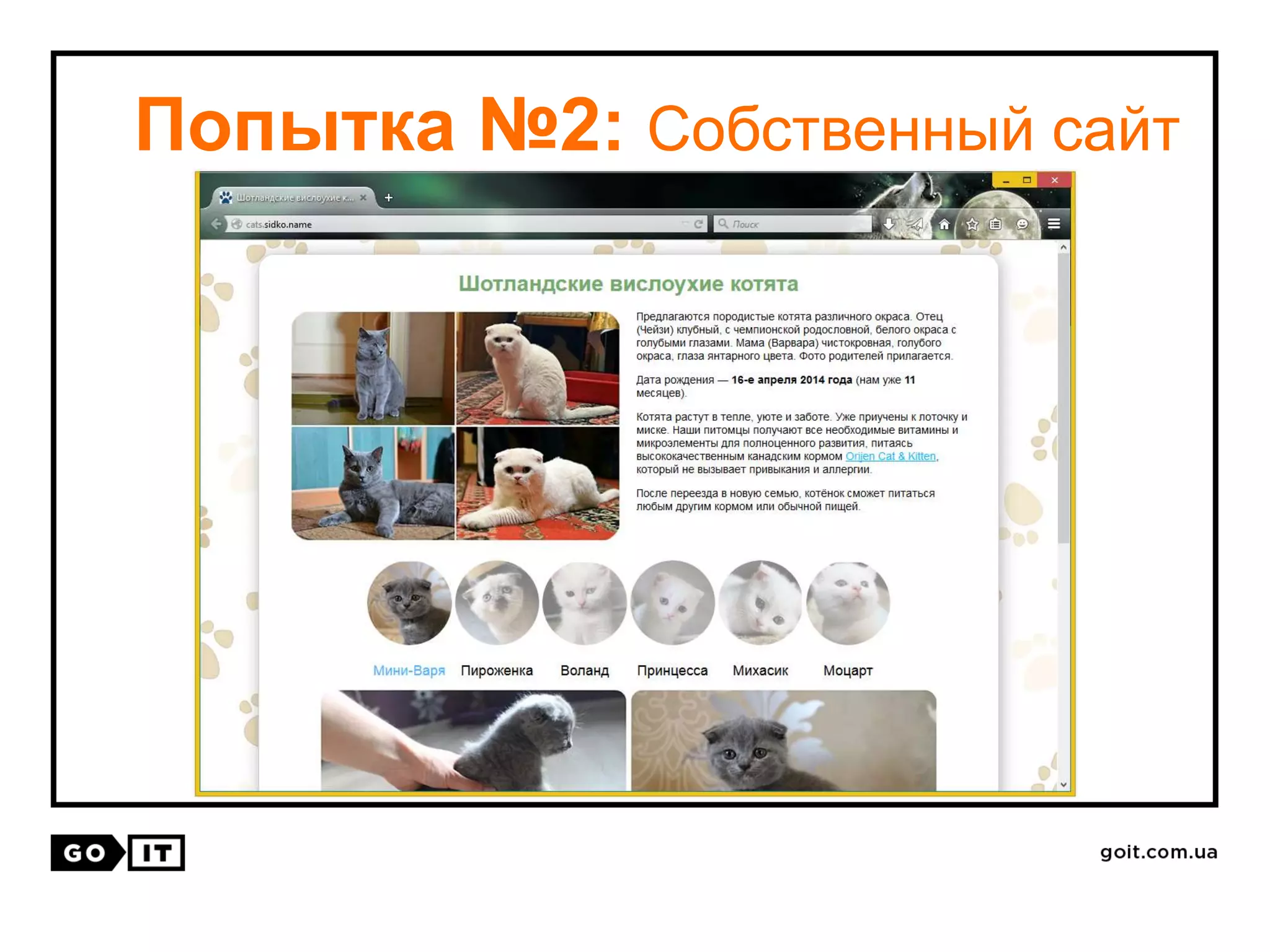 Попытка №2: Собственный сайт
 