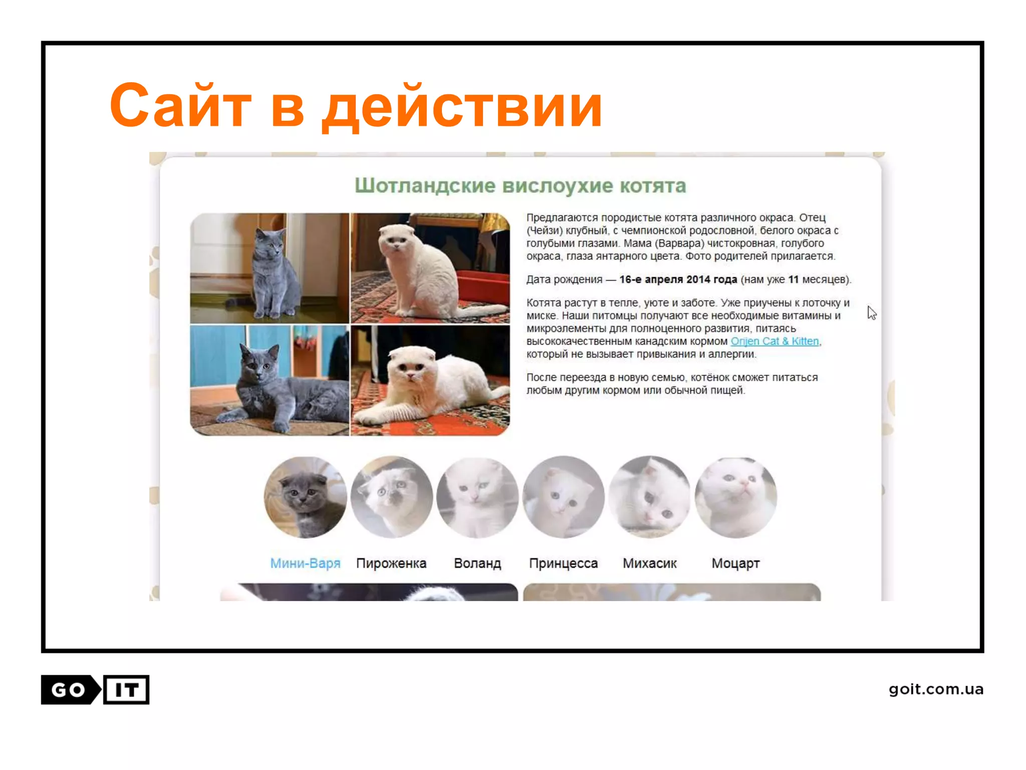 Сайт в действии
 