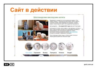 Сайт в действии
 