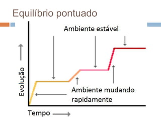 Equilíbrio pontuado
 