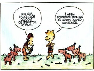 E eles queriam contar