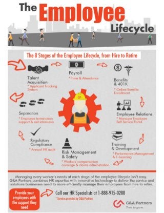 INFOGRAPHIC- The Employee Lifecycle