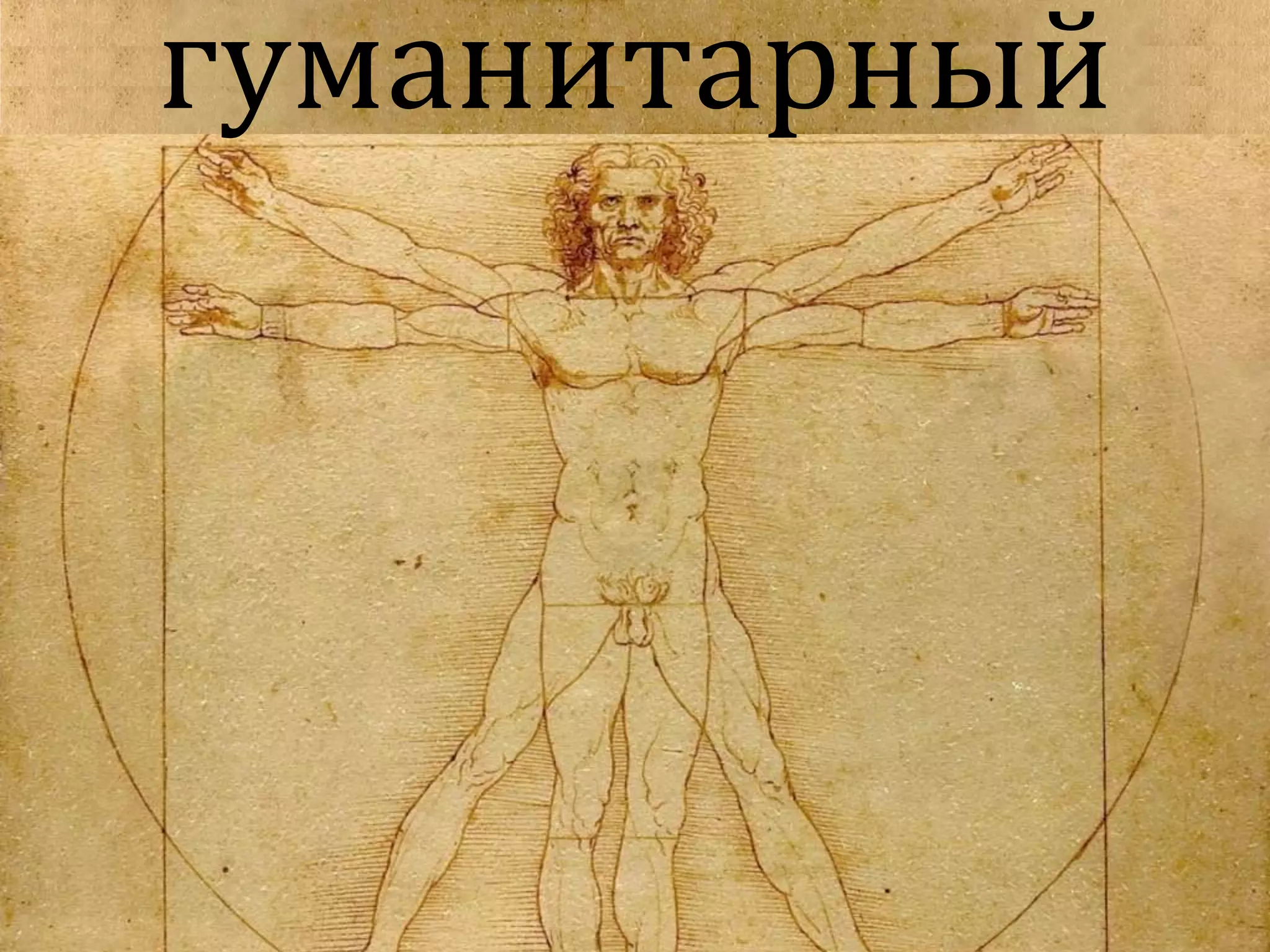 гуманитарный
 