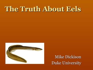 The Truth About Eels Mike Dickison Duke University 