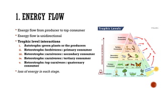 Comprehensive Overview of Ecosystem Functions and Biogeochemical Cycles ...