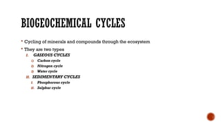 Comprehensive Overview of Ecosystem Functions and Biogeochemical Cycles ...