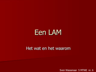 Een LAM Het wat en het waarom Sven Wassenaar  5 MTWE  nr. 6 
