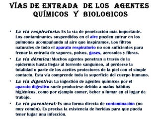 VÍAS DE ENTRADA  DE LOS  AGENTES  QUÍMICOS  Y  BIOLOGICOS La vía respiratoria :  Es la vía de penetración más importante. Los contaminantes suspendidos en el  aire  pueden entrar en los pulmones acompañando al aire que inspiramos. Los filtros naturales de todo el  aparato respiratorio  no son suficientes para frenar la entrada de vapores, polvos,  gases , aerosoles y fibras.  La vía dérmica :  Muchos agentes penetran a través de la epidermis hasta llegar al torrente sanguíneo, al perderse la totalidad o parte de los aceites protectores de la piel con el simple contacto. Esta vía comprende toda la superficie del cuerpo humano.  La vía digestiva : La ingestión de agentes químicos por el  aparato digestivo  suele producirse debido a malos hábitos higiénicos, como por ejemplo comer, beber o fumar en el lugar de trabajo.  La vía parenteral :  Es una forma directa de  contaminación  (no muy común). Es precisa la existencia de heridas para que pueda tener lugar una infección.  