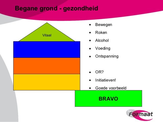 Bravo Model In De Zorg
