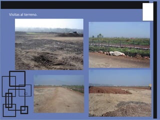Visitas al terreno.