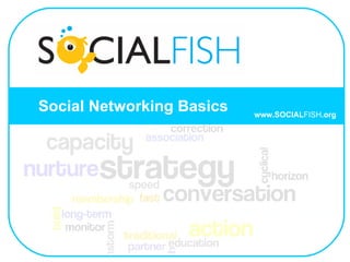 Social Networking Basics www.SOCIAL FISH .org 