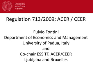 Regulation 713/2009; ACER / CEER
Fulvio Fontini
Department of Economics and Management
University of Padua, Italy
and
Co-chair ESS TF, ACER/CEER
Ljubljana and Bruxelles
 