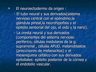      El neuroectodermo da origen :
    - El tubo neural y sus derivados(sistema
      nervioso central con el epéndimo,la
      glándula pineal,la neurohipofisis y el
      epitelio sensorial del ojo, el oido y la nariz).
    - La cresta neural y sus derivados
      (componentes del sistema nervioso
      periferico, células medulares de la g.
      suprarrenal , células APUD, melanoblastos
      (precursores de melanocitos) y el
      mesenquima cefálico con sus derivados
      epiteliales: epitelio posterior de la córnea y
      el endotelio vascular.
 