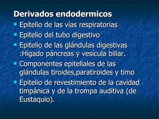 Derivados endodermicos
   Epitelio de las vías respiratorias
   Epitelio del tubo digestivo
   Epitelio de las glándulas digestivas
    :Hígado páncreas y vesícula biliar.
   Componentes epiteliales de las
    glándulas tiroides,paratiroides y timo
   Epitelio de revestimiento de la cavidad
    timpánica y de la trompa auditiva (de
    Eustaquio).
 