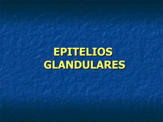 EPITELIOS
GLANDULARES
 