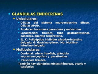    GLANDULAS ENDOCRINAS
       Unicelulares:
            Células del sistema neuroendocrino difuso.
             Células APUD.
            Producen hormonas paracrinas y endocrinas
            Localización: tiroides, tubo gastrointestinal,
             páncreas, aparato respiratorio.
            Ej. K: Polipéptido inhibidor gástrico-intestino
             delgado; G: Gastrina-piloro ; Mo: Motilina-
             intestino delgado.
       Multicelulares:
          Cordonal: adeno hipófisis, glándula
           suprarrenal,epífisis y paratiroides.
          Folicular: tiroides.

         También hay glándulas mixtas:Páncreas, ovario y
           testículos
 