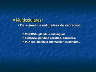    Multicelulares:
       De acuerdo a naturaleza de secreción:

            MUCOSA: glándula sublingual.
            SEROSA: glándula parótida, páncreas.
            MIXTA: glándula submaxilar, sublingual.
 