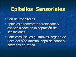 Epitelios Sensoriales
   Son neuroepitelios.
   Epitelios altamente diferenciados y
    especializados en la captación de
    sensaciones.
   Son: corpúsculos gustativos, órgano de
    Corti del oído interno, capa de conos y
    bastones de retina.
 
