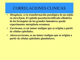 CORRELACIONES CLINICAS
• Metaplasia, es la transformación patológica de un tejido
  en otro.Ejem. El epitelio pseudoestratificado cilindrico
  de los bronquios de los grandes fumadores puede
  experimentar metaplasia escamosa.
• Carcinoma, es un tumor maligno que se origina a partir
  de células epiteliales.
• Adenocarcinoma, es un tumor maligno que se origina a
  partir de células epiteliales glandulares.
 